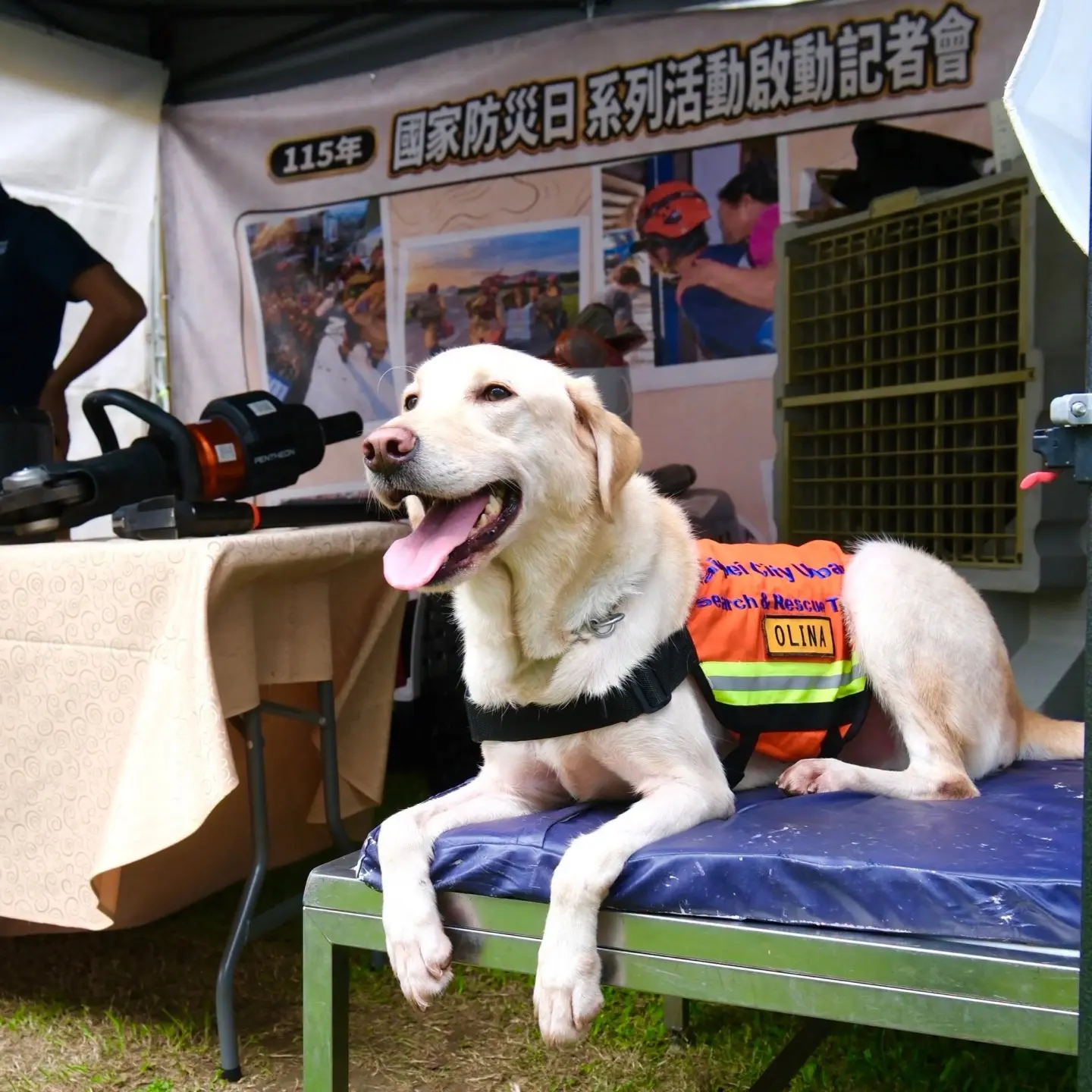 9月16日至18日將舉辦大規模震災救災動員演練，以花東縱谷斷層發生大規模地震為演練情境，驗證動員、搜救、大量傷病患救護及資源整合能力，這次也擴大國際參與。內政部提供