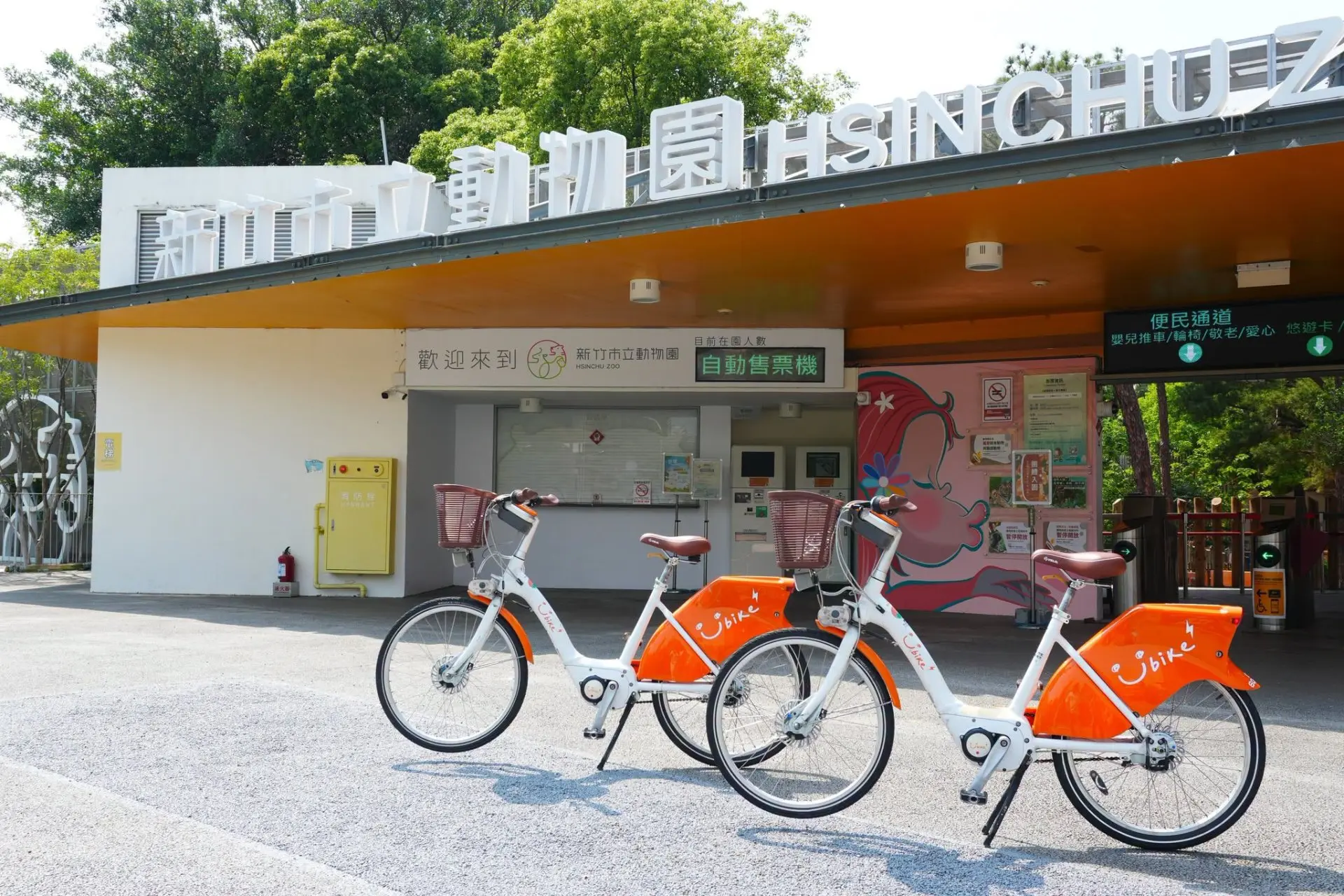 竹市府交通處表示，今年4月1日起實施YouBike前30分鐘補助後，5月使用次數達32萬790次，較4月成長22%、較去年同期增加65%。翻攝自YouBike桃竹苗粉絲團臉書