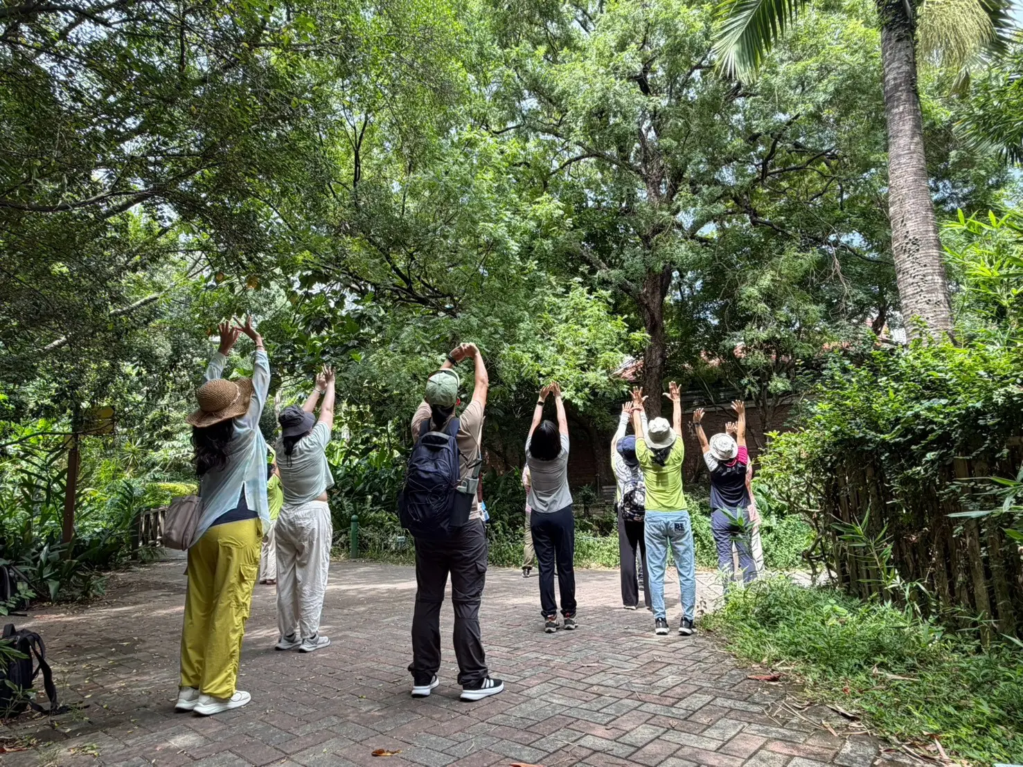 失眠者福音！林試所推社會處方箋帶你逛植物園紓壓