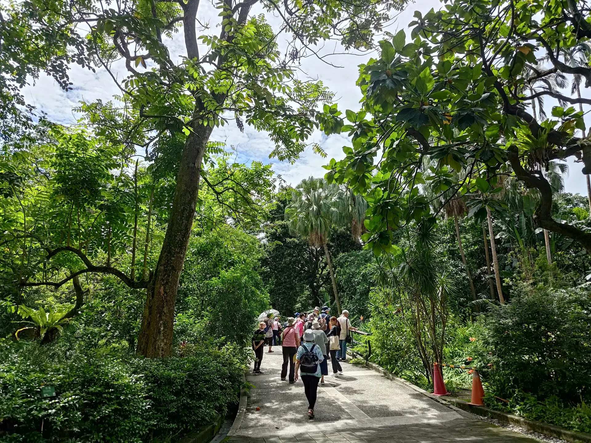 林試所推出「植物園處方：紓壓好眠地圖」，希望有助失眠者放慢步伐與練習呼吸。林試所堤供
