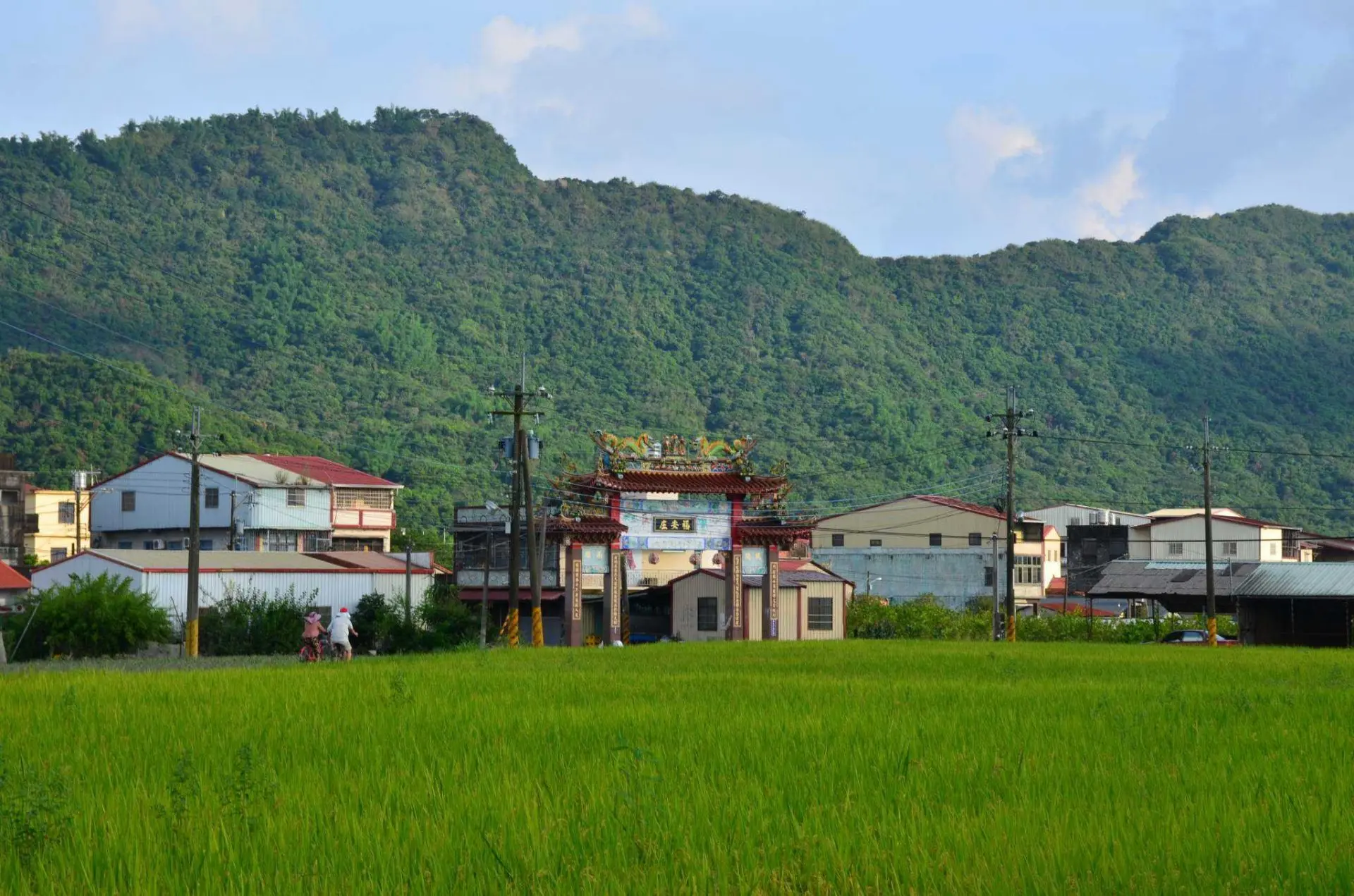 遠觀雞油樹下的農村景象,山的後面正是美濃的福安庄。鄧富雄提供