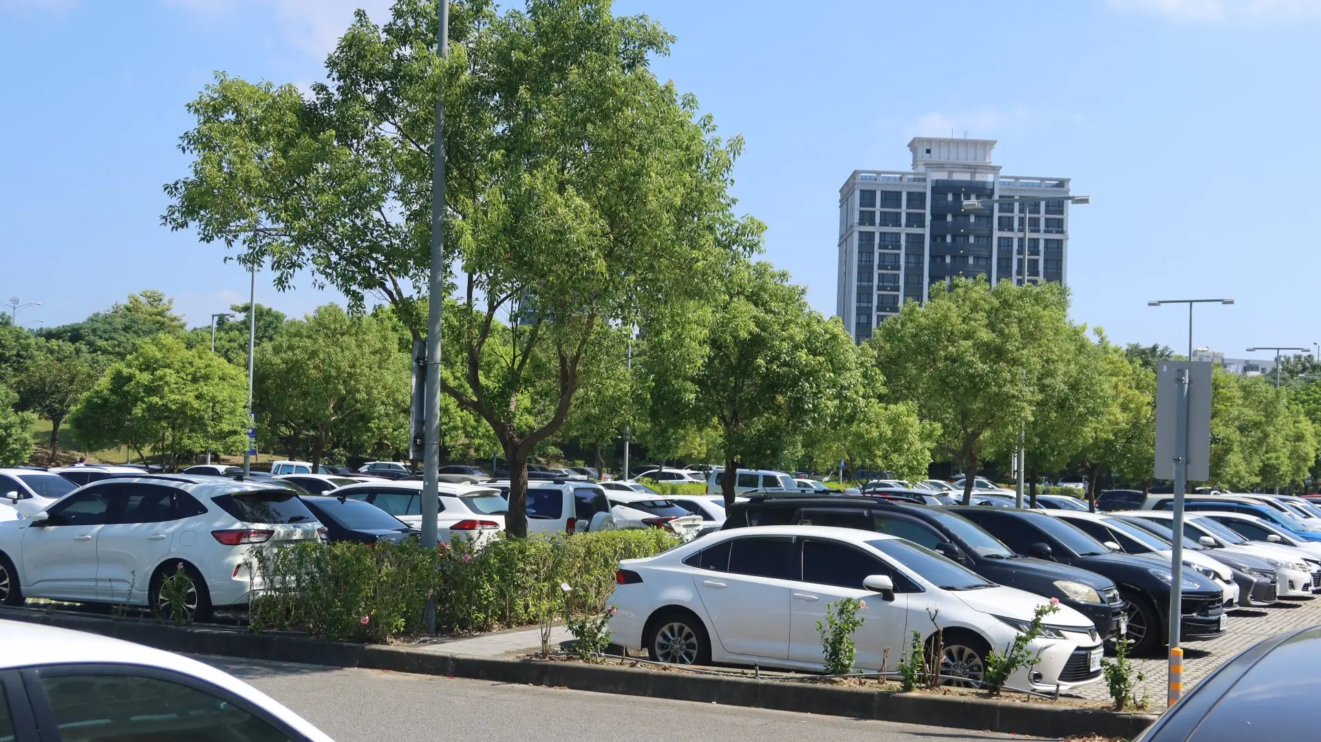 高鐵苗栗站附近馬路都禁止停車，致苗栗站收費停車場碰到尖峰時段常停滿，一位難求。何來美攝