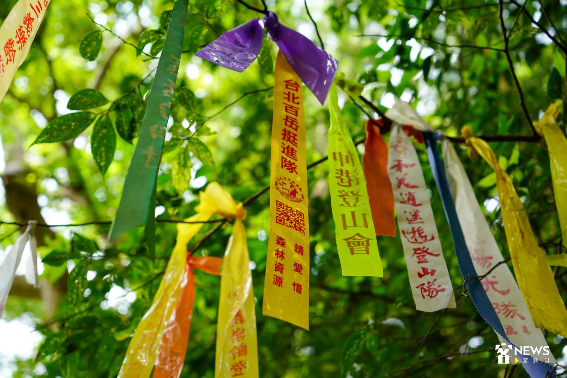 許多登山步道團隊早已造訪朝聖過國家綠道「樟之細路」。簡琬真攝