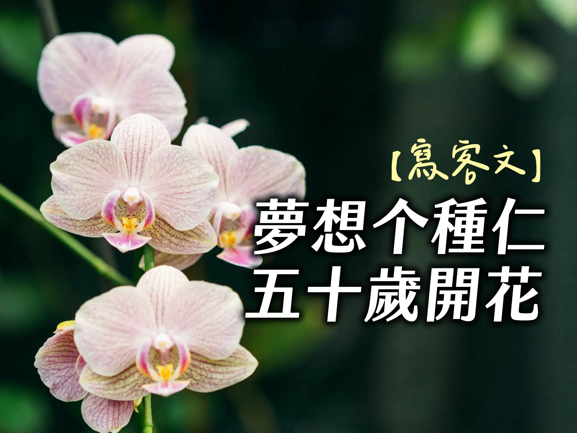 【寫客文】夢想个種仁五十歲開花