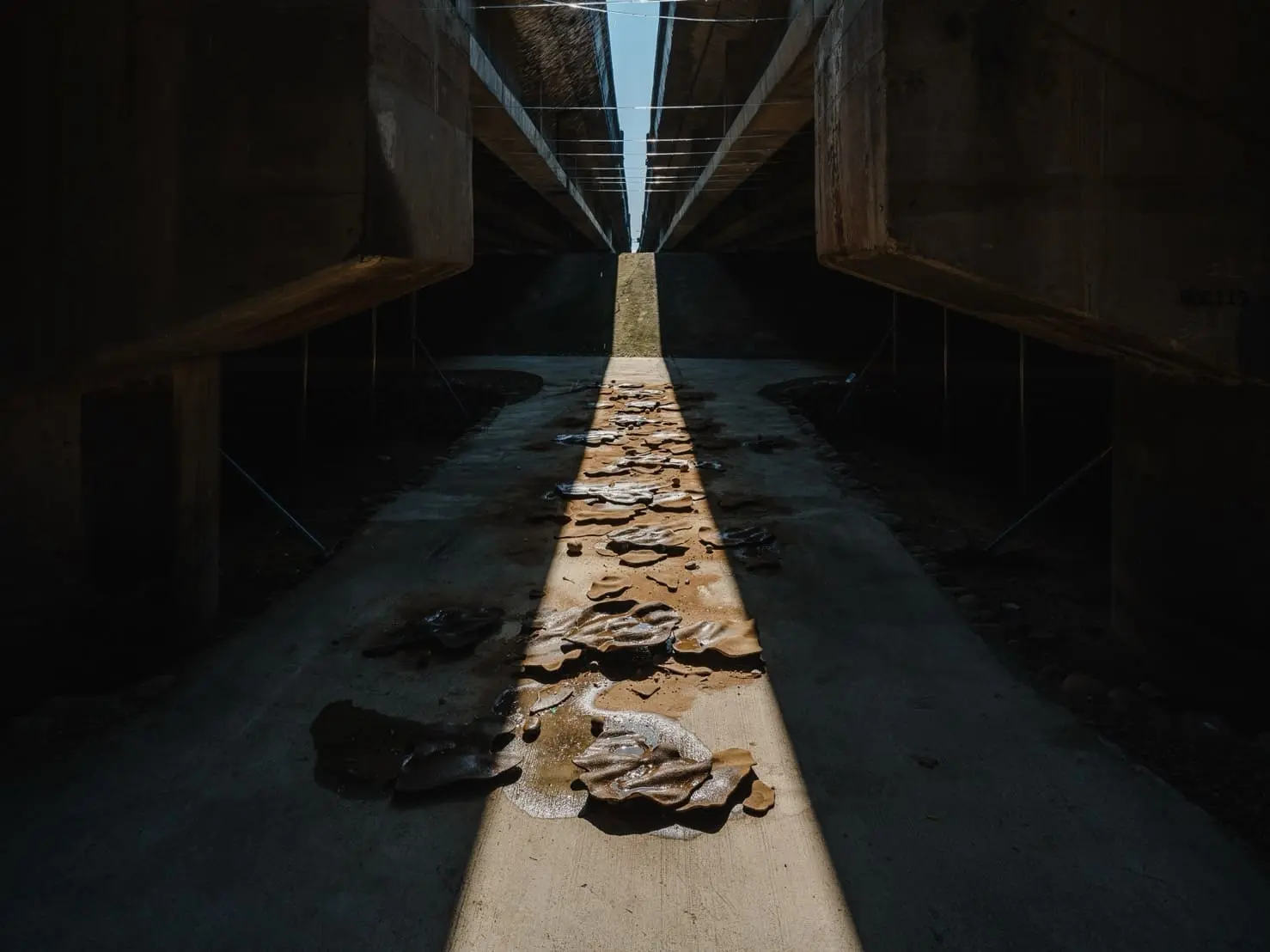 木子一十一工作室的《濕地》作品。新竹市政府提供
