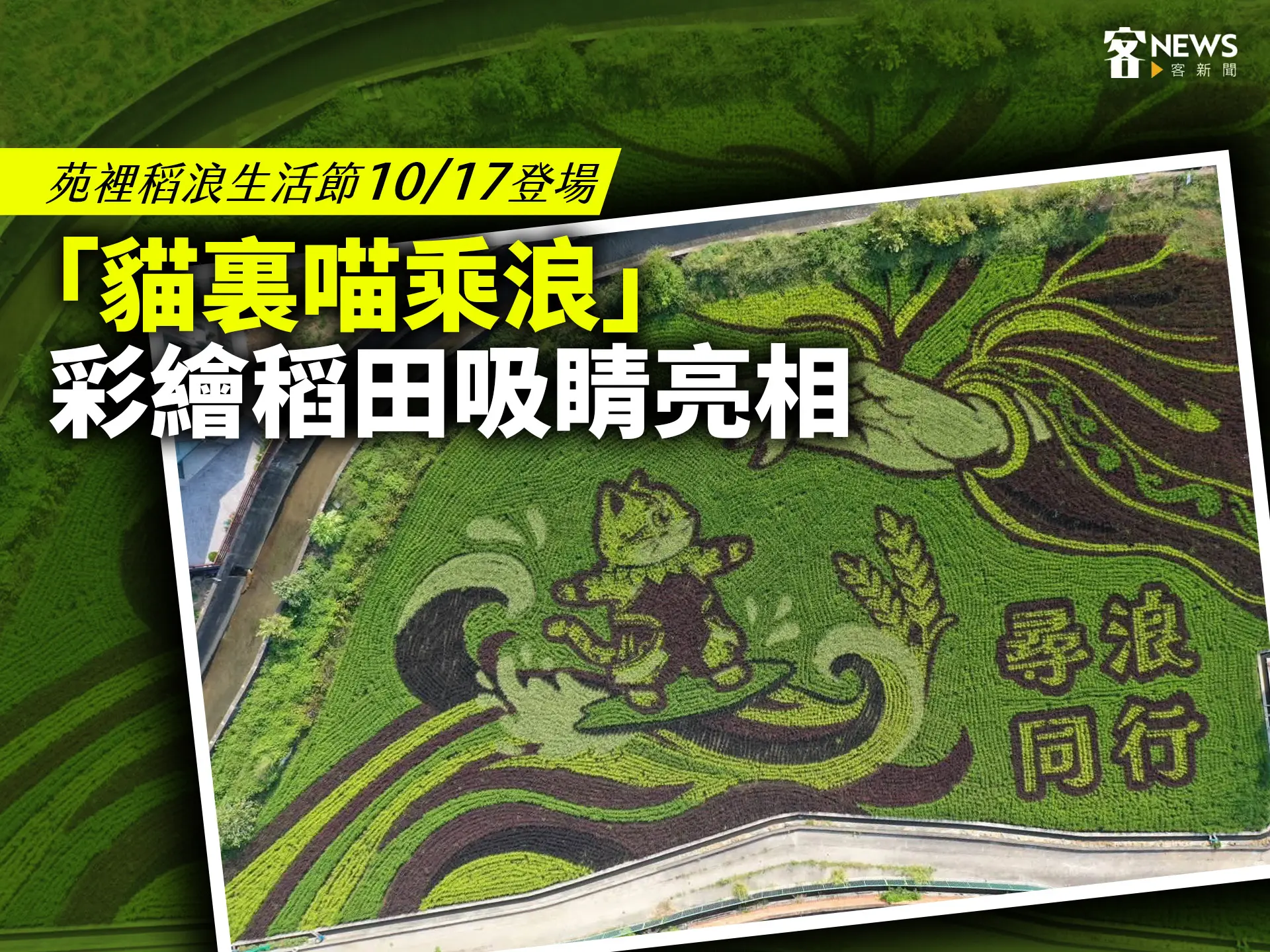 苑裡稻浪生活節10/17登場　「貓裏喵乘浪」彩繪稻田吸睛亮相