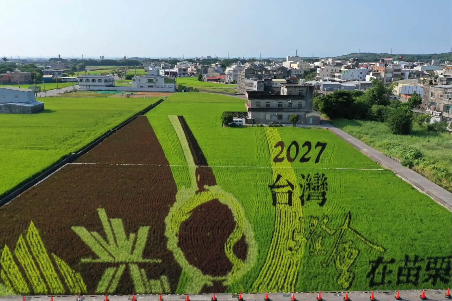彩繪稻田「2027台灣燈會在苗栗」。苑裡鎮農會提供