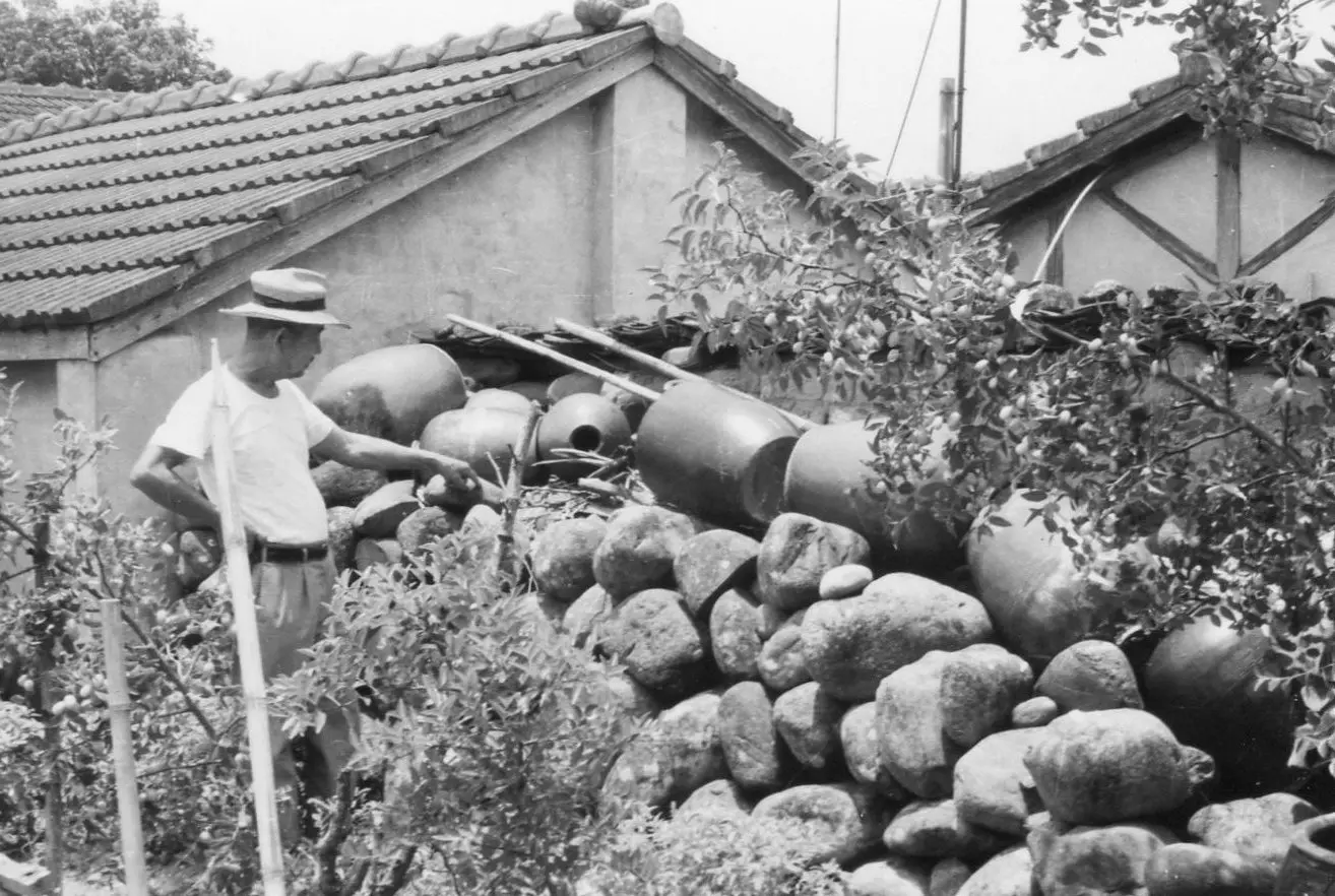 公館鄉石圍墻210年前開庄時，築石墻、設銃孔防搶、防盜，先賢陳北開30餘年前曾帶筆者參觀殘留的石墻。何來美攝