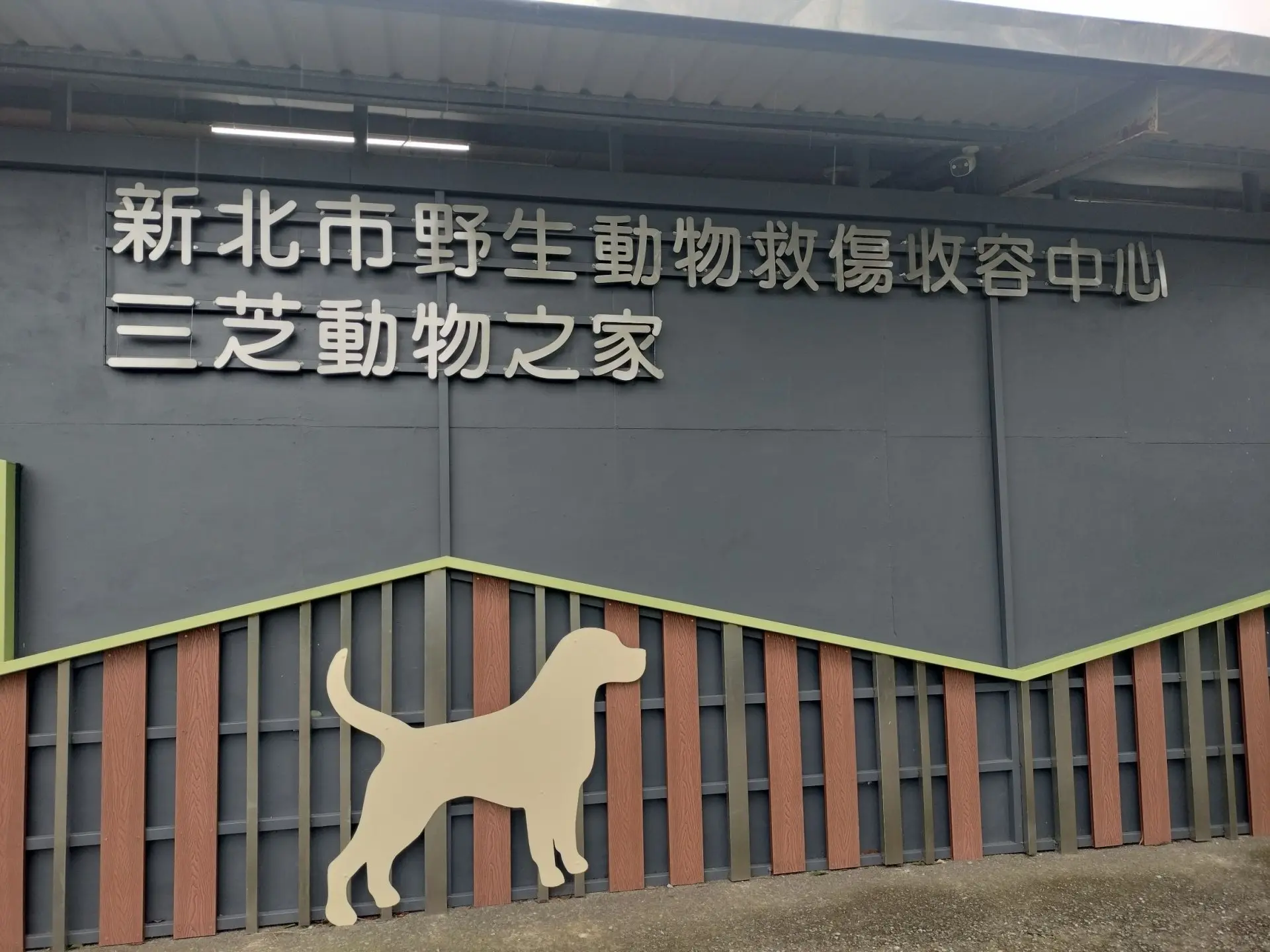 新北市野生動物救傷收容中心三芝動物之家。新北市政府提供