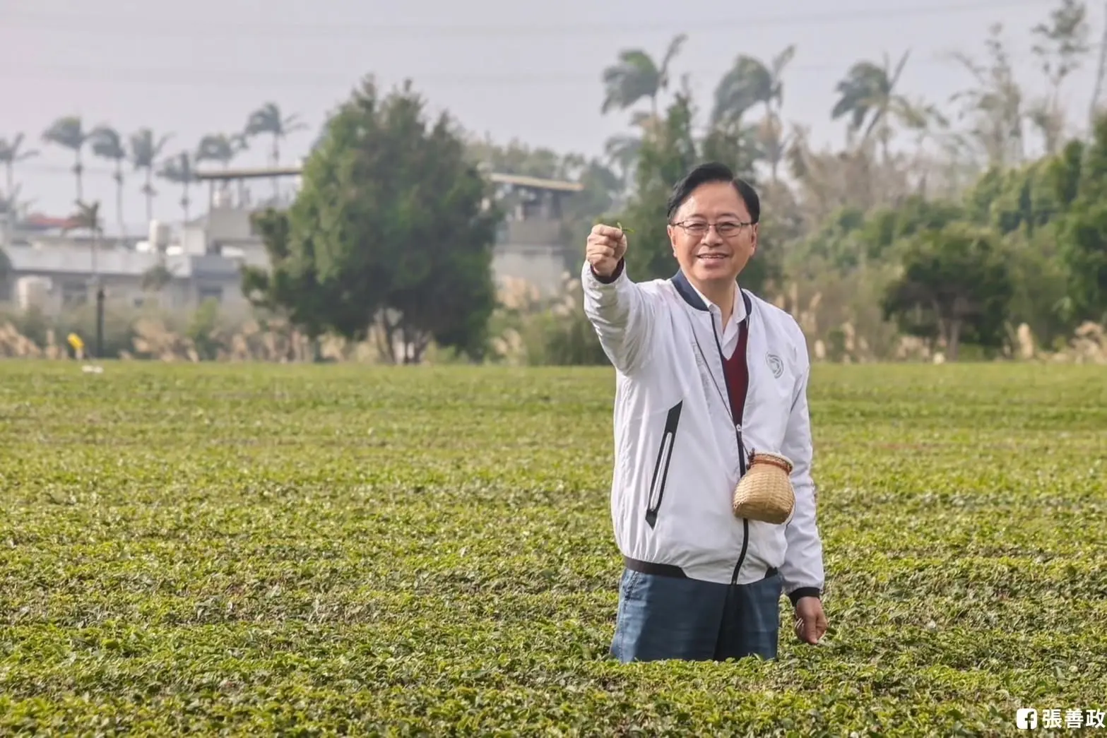 桃園市將茶產業列為客家文化推展的重點之一。圖為桃園市長張善政2025年走訪桃園大龍門品嘗東方美人茶。翻攝自張善政臉書